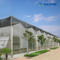 Multi Span Agricultural Polycarbonate Sheet Greenhouse